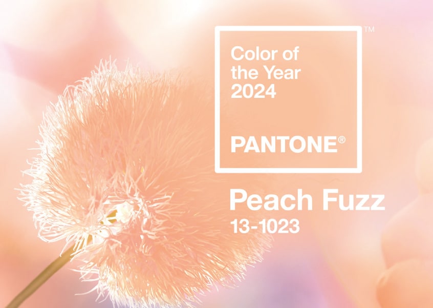 El tono Peach Fuzz es un color reconfortable que estimula los sentidos